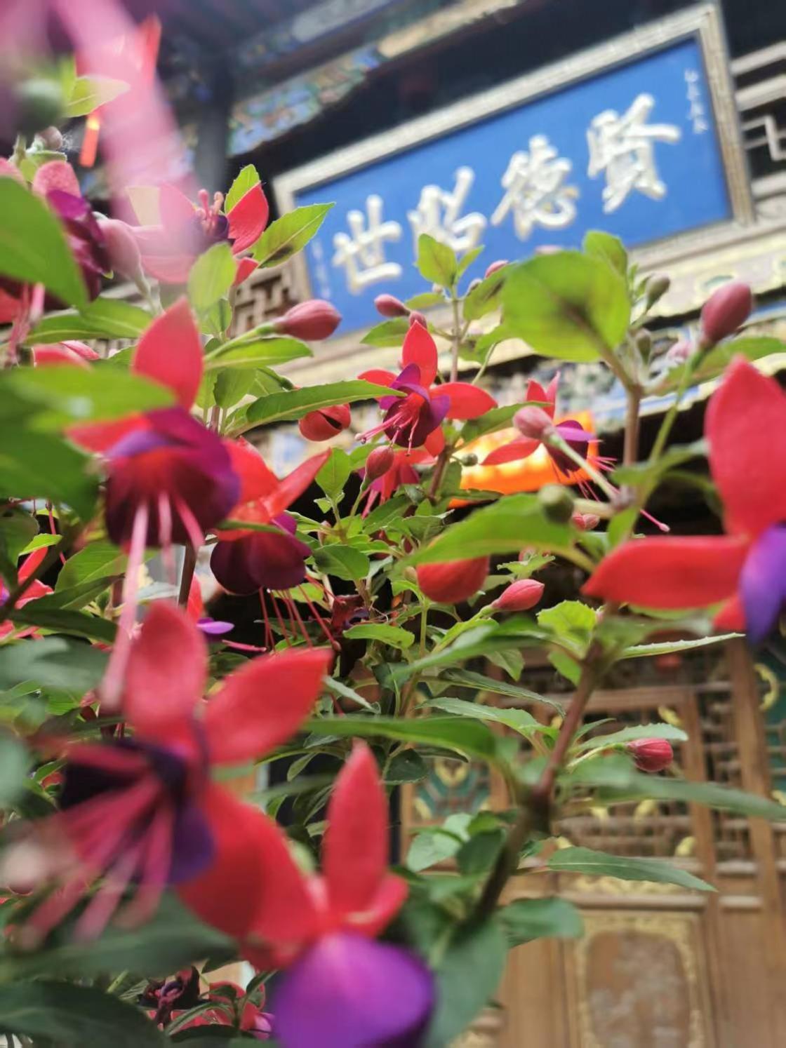 Pingyao Hu Lu Wa Home Inn Exterior photo